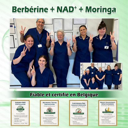 Boutique officielle 🌺🌸𝐆𝐋𝐎𝐑𝐄𝐍𝐃𝐀® Moringa · Berbérine + NAD+ – Patch Microneedle Nano Avancé 10-en-1 (1×/jour, résultats visibles en 7 jours) | Obésité, relâchement cutané, apnée du sommeil, articulations, etc.-LYJ